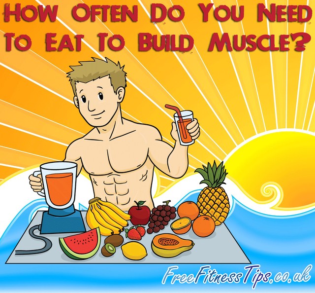 How Often Do You Need To Eat To Build Muscle?