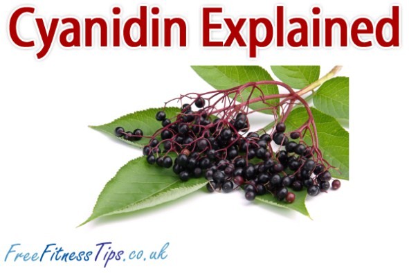 Cyanidin Explained