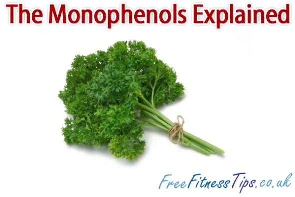 The Monophenols Explained