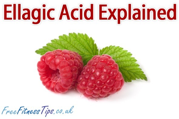 Ellagic Acid Explained