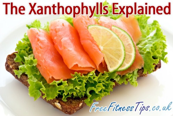 The Xanthophylls Explained
