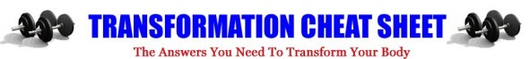 Transformation Cheat Sheet Logo