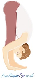 Standing Double Hamstring Stretch