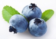 A close up view of 3 blueberries.