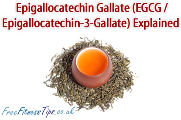 Epigallocatechin Gallate (EGCG / Epigallocatechin-3-Gallate) Explained
