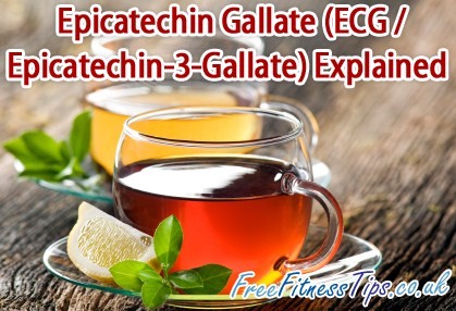 Epigallocatechin Gallate (EGCG / Epigallocatechin-3-Gallate) Explained