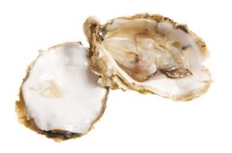 A raw oyster split in half.