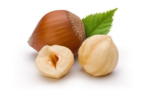 Two hazelnuts on a white background.