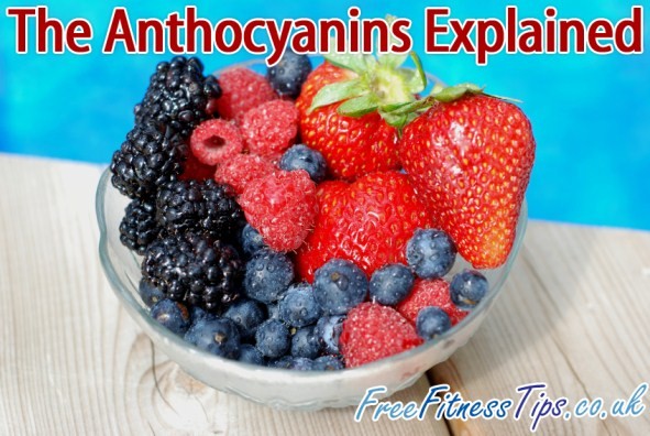 The Anthocyanins Explained