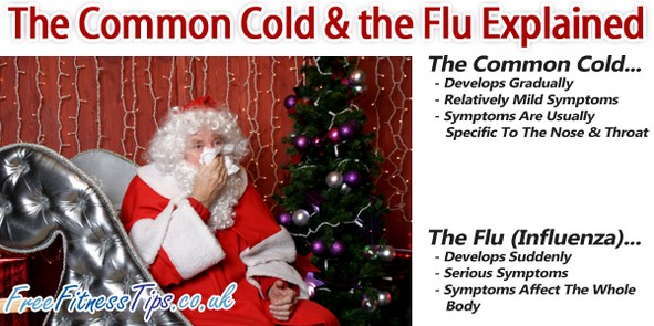 The Common Cold & the Flu Explained