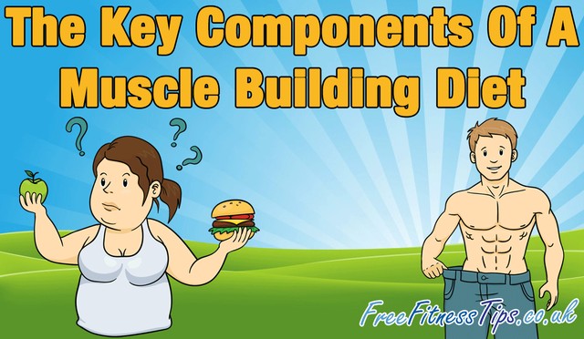 The Key Components Of A Muscle Building Diet