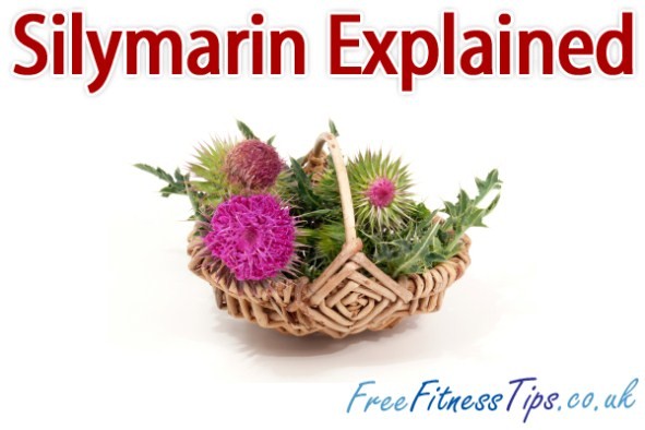 Silymarin Explained