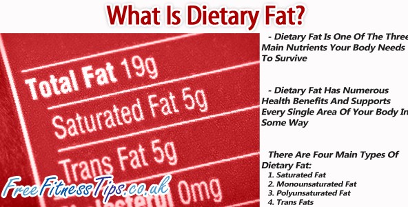 What Is Dietary Fat?