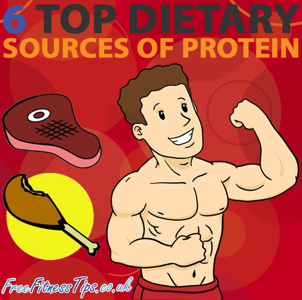6 Top Dietary Sources Of Protein