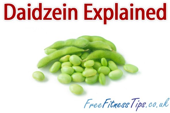 Daidzein Explained