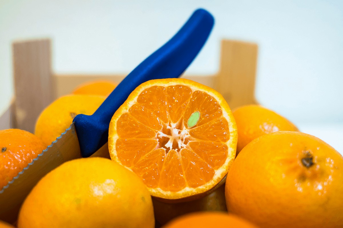 Varicose Vein Treatment: Flavonoids To The Rescue