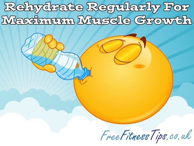 Rehydrate Regularly For Maximum Muscle Growth