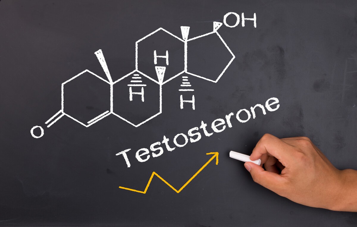10 Great Foods To Help Boost Testosterone Levels