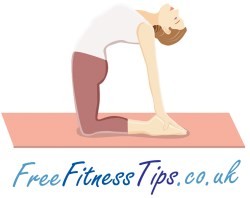 Camel Pose