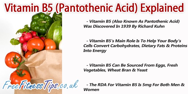 Vitamin B5 (Pantothenic Acid) Explained