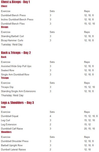 A 3 day workout plan.