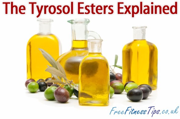 The Tyrosol Esters Explained