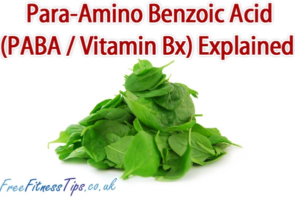 Para-Amino Benzoic Acid (PABA / Vitamin Bx) Explained