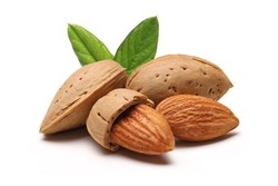 4 almonds on a white background.