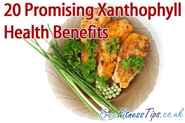 20 Promising Xanthophyll Health Benefits