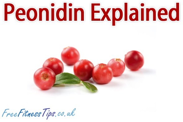 Peonidin Explained