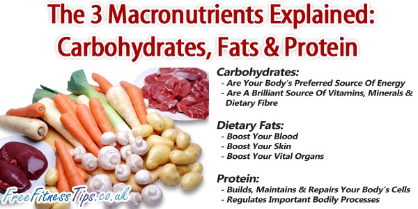 The 3 Macronutrients Explained: Carbohydrates, Fats & Proteins