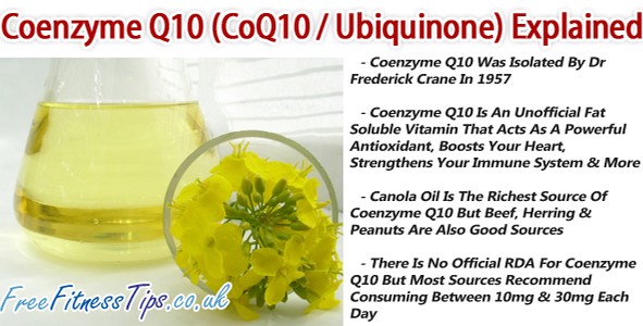 Coenzyme Q10 (CoQ10 / Ubiquinone) Explained