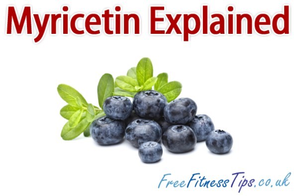 Myricetin Explained