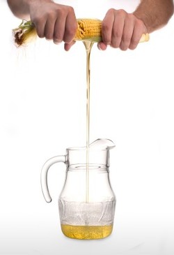Corn oil being squeezed into a glass jug.