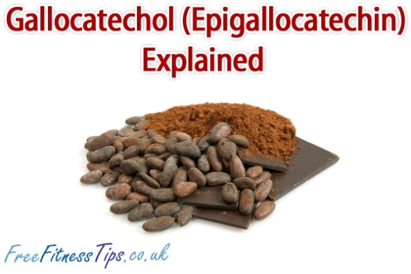Gallocatechol (Epigallocatechin) Explained