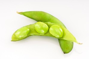 A close up of 3 soybeans in a pod.