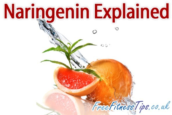 Naringenin Explained