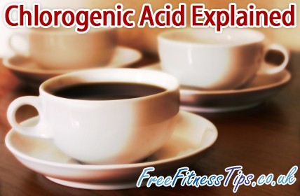 Chlorogenic Acid Explained
