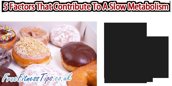 5 Factors That Contribute To A Slow Metabolism