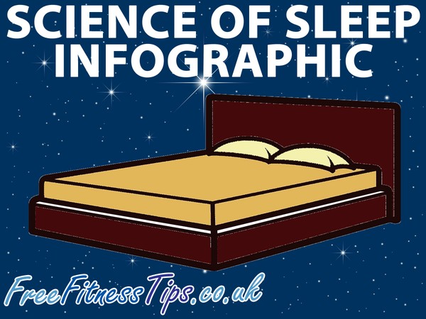 Science Of Sleep Infographic
