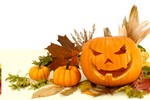 Studio shot of Halloween pumpkins and autumn leaves arranged on white background.