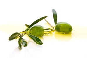 2 olives floating in a small pool of olive oil.