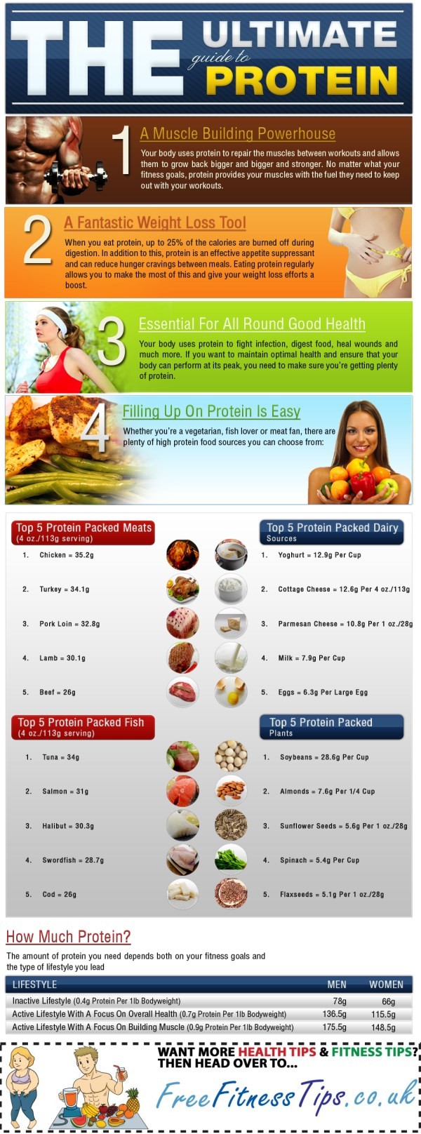 The Ultimate Guide To Protein