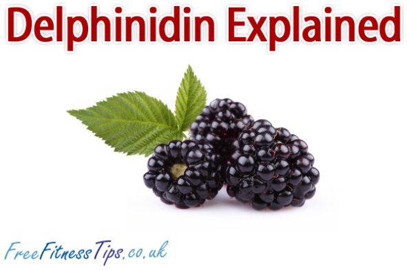 Delphinidin Explained