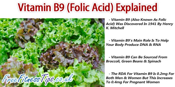 Vitamin B9 (Folic Acid) Explained