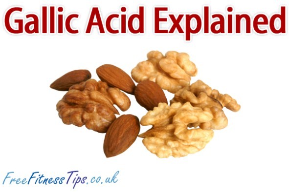 Gallic Acid Explained