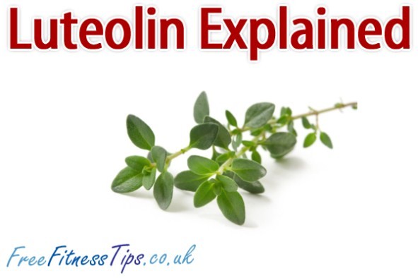 Luteolin Explained