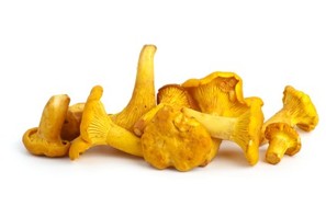 A pile of chanterelle mushrooms on a white background.