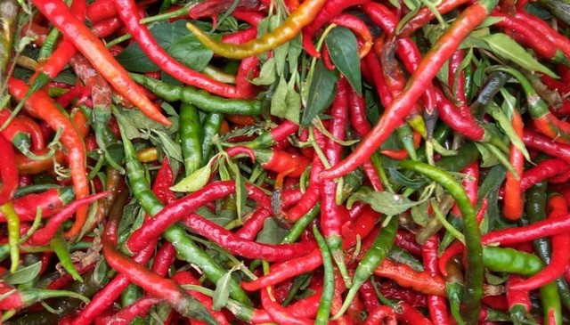 A selection of mixed chilli peppers.