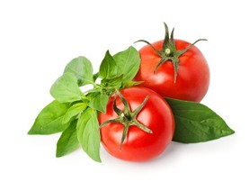 2 tomatoes on a white background.